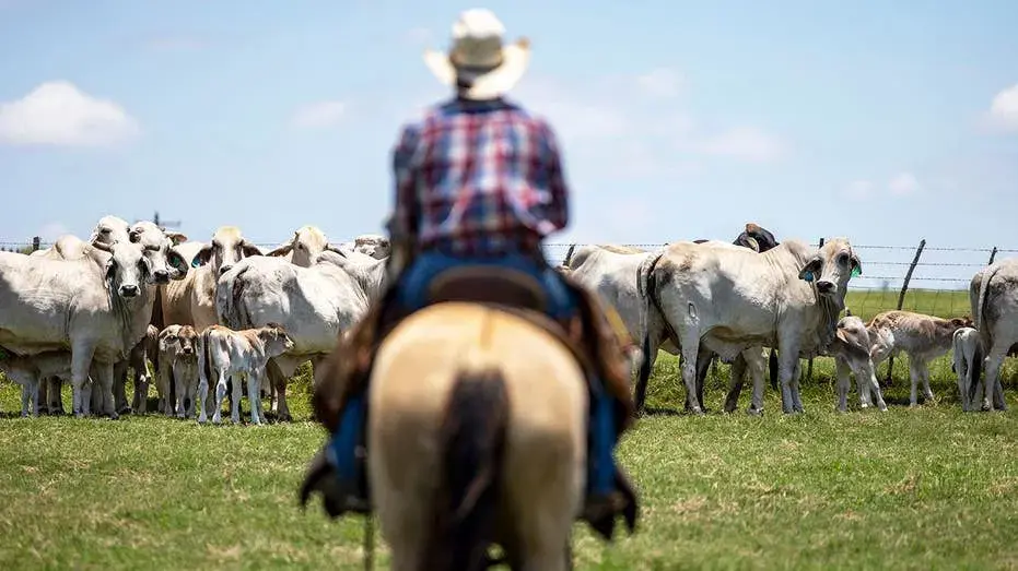 Hunters and ranchers enlisted in battle against spread of flesh-eating parasite