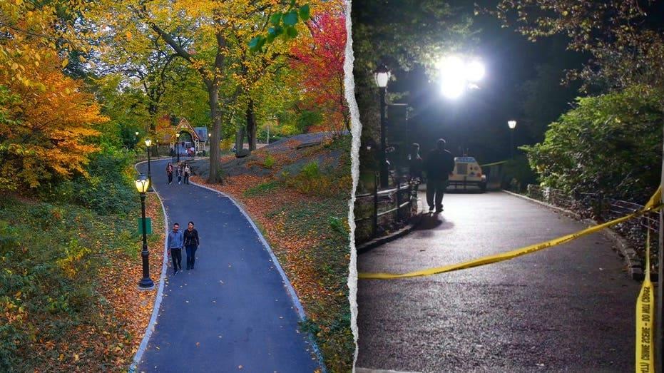 Dems silent after violent attack in wealthy area of New York City as suspect remains at large