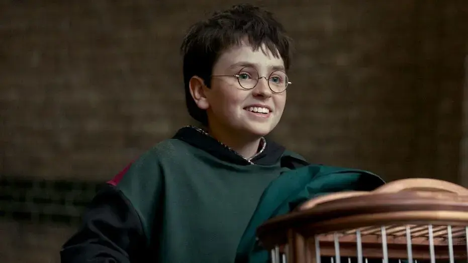 New 'Harry Potter' show poster goes viral as fans react to upcoming series based on JK Rowling's books
