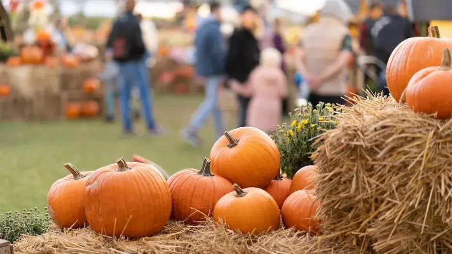 E. coli outbreak lands 3 in hospital, health officials investigate link to pumpkin patch