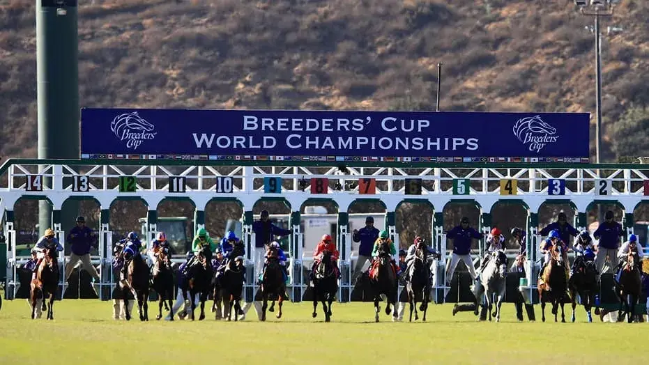 Can You Bet on the Breeders’ Cup With FanDuel and BetMGM?